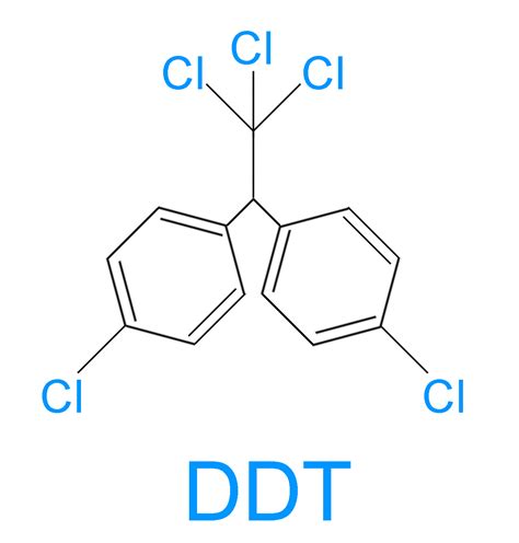 DDT